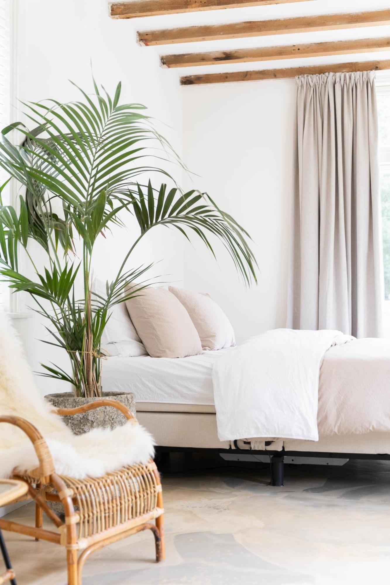 Ben Bij Bos Bed & Breakfast Oude-Niedorp Bagian luar foto